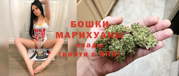 молекула духа Нефтегорск