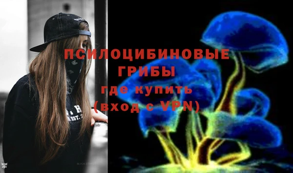 ПСИЛОЦИБИНОВЫЕ ГРИБЫ Тосно