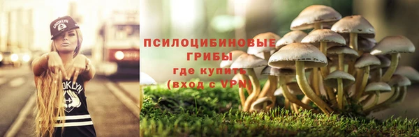молекула духа Нефтекумск