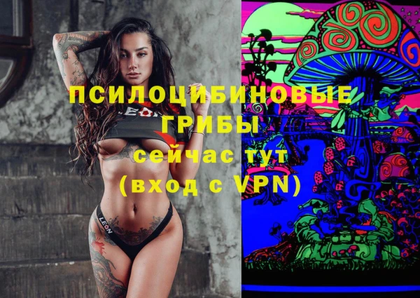 молекула духа Нефтекумск