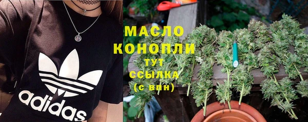крисы Белая Холуница