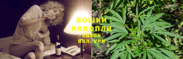 не бодяженный Надым