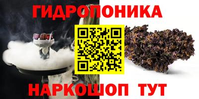 ПСИЛОЦИБИНОВЫЕ ГРИБЫ Камышлов
