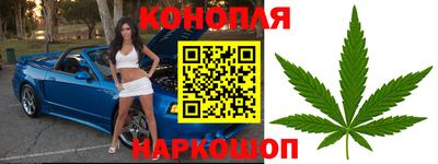 ПСИЛОЦИБИНОВЫЕ ГРИБЫ Камышлов