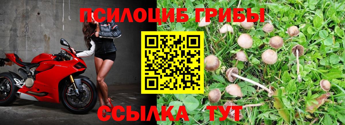 Псилоцибиновые грибы ЛСД Мурино